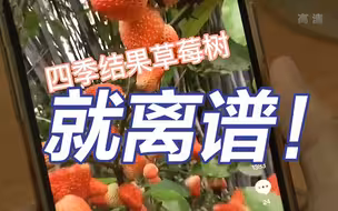 央视曝光农产品带货直播中违反常识乱象