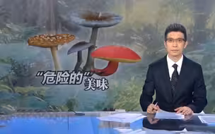 朱广权警示：不要乱吃菌，生命会耗尽！