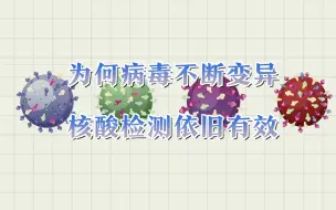 变异超2万次，为啥“核酸”还有效？检测部位、方式和原理都是啥？