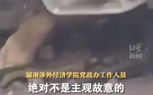 湖南涉外经济学院一教师校内撞车，致2人受伤。校方回应：车是新买的，伤者中包括一名学生和一位奶茶店老板。