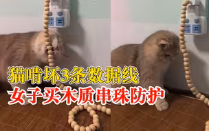 猫啃坏3条数据线女子买串珠防护：它磨牙期喜欢咬，现在啃不动了