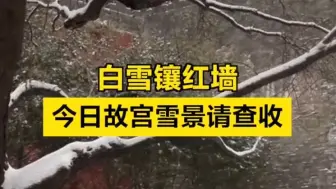 白雪镶红墙，今日故宫雪景请查收！