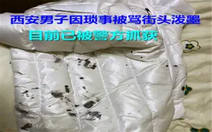西安男子因琐事被骂街头泼墨 目前已被警方抓获