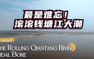 最是难忘！滚滚钱塘江大潮
