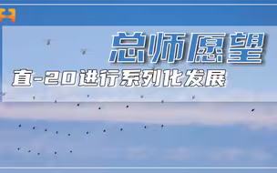 直-20总师邓景辉愿望：进行系列发展，成为交付数量最多的直升机