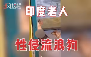印度68岁老人街头性侵30只流浪狗，被抓后狡辩：它们没有反对