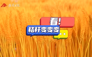 看！秸秆变变变……