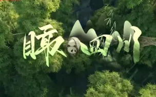 时政微视频丨瞰四川