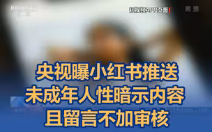 央视曝小红书推送未成年人身体隐私，留言不加审核大量“性暗示”