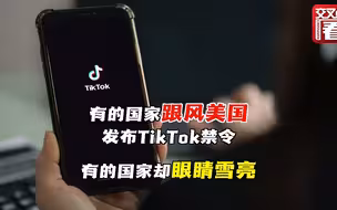 哪国跟风美国发布TikTok禁令？哪国眼睛雪亮？