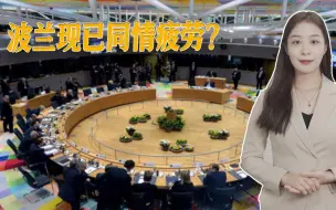 欧盟又下命令，波兰当即破防，全民公投后或下最终决定