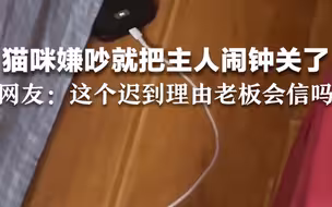 猫咪嫌吵就把主人闹钟关了，网友：这个迟到理由老板会信吗