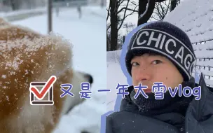 虎年第一场！从不错过的大雪vlog