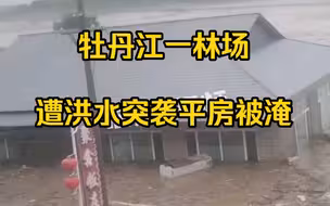 黑龙江一林场遭洪水突袭，目击者：牛、车都冲没了